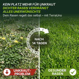 Geteiltes Bild, das links spärliches, unkrautbefallenes Gras mit der Beschriftung „UNKRAUT-PROBLEM“ und rechts üppiges, grünes Gras mit der Beschriftung „GESUNDER RASEN“ zeigt. Der Text darüber wirbt für „TerraUno Unkrautvernichter mit Rasendünger – Angebot“ für einen unkrautfreien Rasen in nur 14 Tagen.