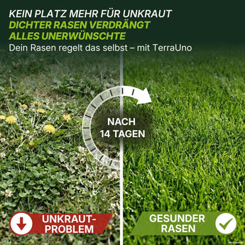 Geteiltes Bild, das links spärliches, unkrautbefallenes Gras mit der Beschriftung „UNKRAUT-PROBLEM“ und rechts üppiges, grünes Gras mit der Beschriftung „GESUNDER RASEN“ zeigt. Der Text darüber wirbt für „TerraUno Unkrautvernichter mit Rasendünger – Angebot“ für einen unkrautfreien Rasen in nur 14 Tagen.
