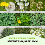 Ein 3x3-Grid zeigt Nahaufnahmen von Löwenzahn  Klee, dazu der Text: EXTRA STARK GEGEN LÖWENZAHN, KLEE, UVM. Mit TerraUno Unkrautvernichter mit Rasendünger - Angebot wird Ihr Rasen in nur 14 Tagen unkrautfrei.