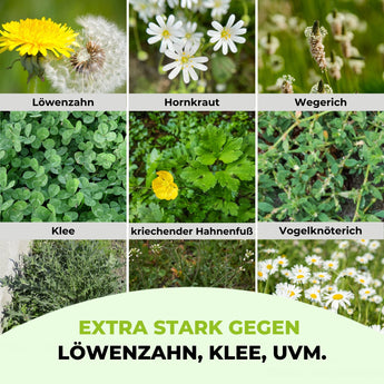 Ein 3x3-Grid zeigt Nahaufnahmen von Löwenzahn  Klee, dazu der Text: EXTRA STARK GEGEN LÖWENZAHN, KLEE, UVM. Mit TerraUno Unkrautvernichter mit Rasendünger - Angebot wird Ihr Rasen in nur 14 Tagen unkrautfrei.