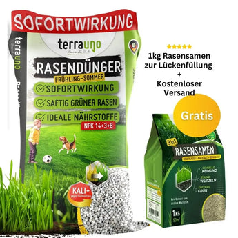 Ein Beutel Terrauno Rasendünger Frühjahr und Sommer - Angebot, beschriftet für sofortige Wirkung, satten grünen Rasen und ideale NPK-Nährstoffe. Daneben ein Gratis-Grünsäckchen Rasensamen zum kostenlosen Versand  Nachfüllen-perfekt gegen Moos und Unkraut.