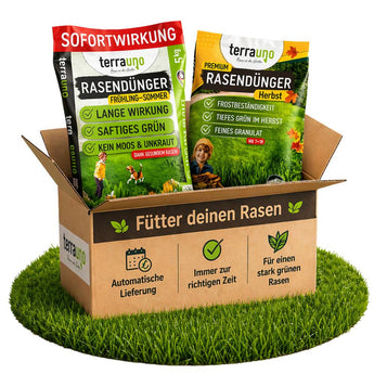 Ein Karton mit der Aufschrift "Füttere deinen Rasen" enthält zwei Tüten TerraUno Rasendünger - Sparabo für Frühling/Sommer und Herbst, platziert auf saftigem Gras. Die Verpackung wirbt mit grünen Häkchen und Produkteigenschaften für die Abo-Vorteile.