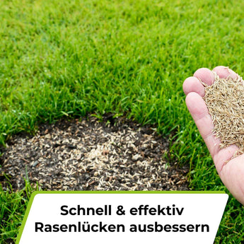 Herbst Rasendünger mit Rasensamen Dünger    TerraUno