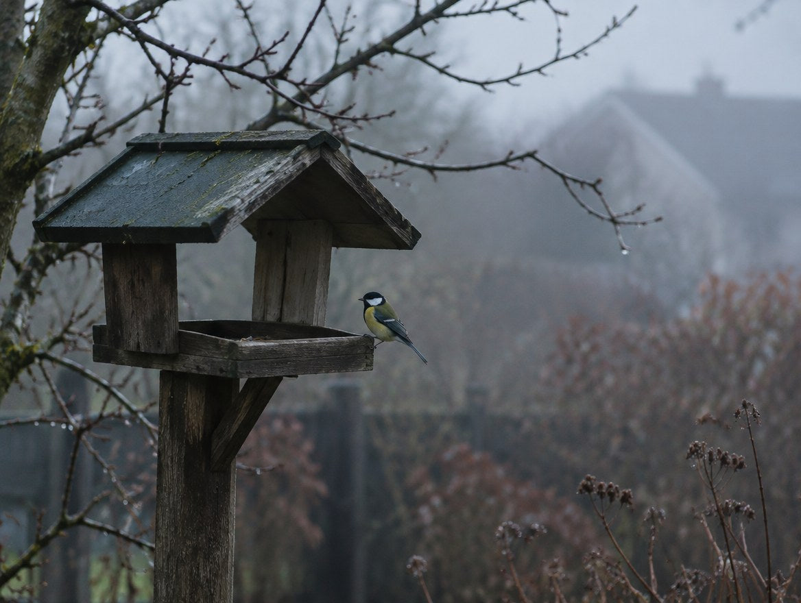 Leeres Futterhaus im Herbstnebel mit einer einzelnen Meise