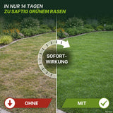 Ein Gartenrasen, der in der Mitte geteilt ist: Auf der linken Seite wirkt er trocken und braun und trägt die Aufschrift „OHNE“; auf der rechten Seite ist er üppig und grün und trägt die Aufschrift „MIT TerraUno Speed Rasendünger N21“. Der Text darüber lautet: „In nur 14 Tagen zu saftig grünem Rasen – mit dem richtigen Stickstoffdünger von TerraUno.“.