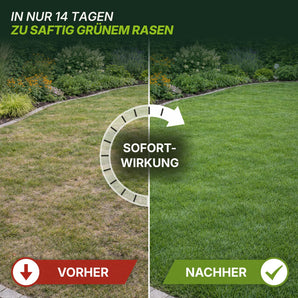 TerraUno Rasendünger Vorher-Nachher Vergleich – in nur 14 Tagen zu saftig grünem Rasen