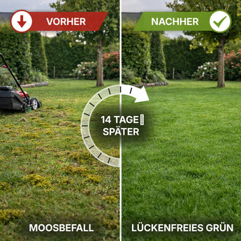 Ein Vergleich der beiden Rasenflächen: links ein lückenhafter Rasen mit Moos "Vorher", "Moosbefall"; rechts ein saftiger Rasen nach der Anwendung von Terra Uno Rasenretter  Vertikutiermix "Nachher", "Lückenfreies Grün". Text in der Mitte: "14 Tage später".