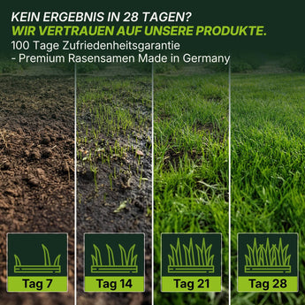 Vier Tafeln zeigen das Graswachstum in 28 Tagen: vom nackten Boden zum üppigen Rasen. Der deutsche Text hebt Terrauno Rasensamen - Nachsaat, Reparatur und Neuanlage - Angebot in RSM-Qualität für beste Ergebnisse bei Reparatur und Neuanlage hervor.