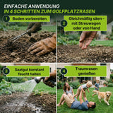 Eine bebilderte Anleitung in vier Schritten: Boden vorbereiten, Terrauno Rasensamen - Nachsaat, Reparatur und Neuanlage - Angebot säen, gießen und den üppigen Rasen genießen, während die Familie im Gras spielt.