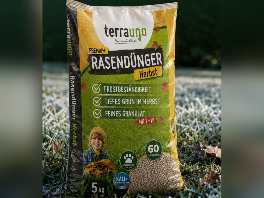Herbst-Rasendünger auf bereiftem Rasen im Winter
