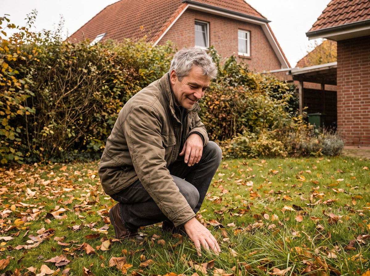 Gartenbesitzer prüft im Herbst die Grasnarbe