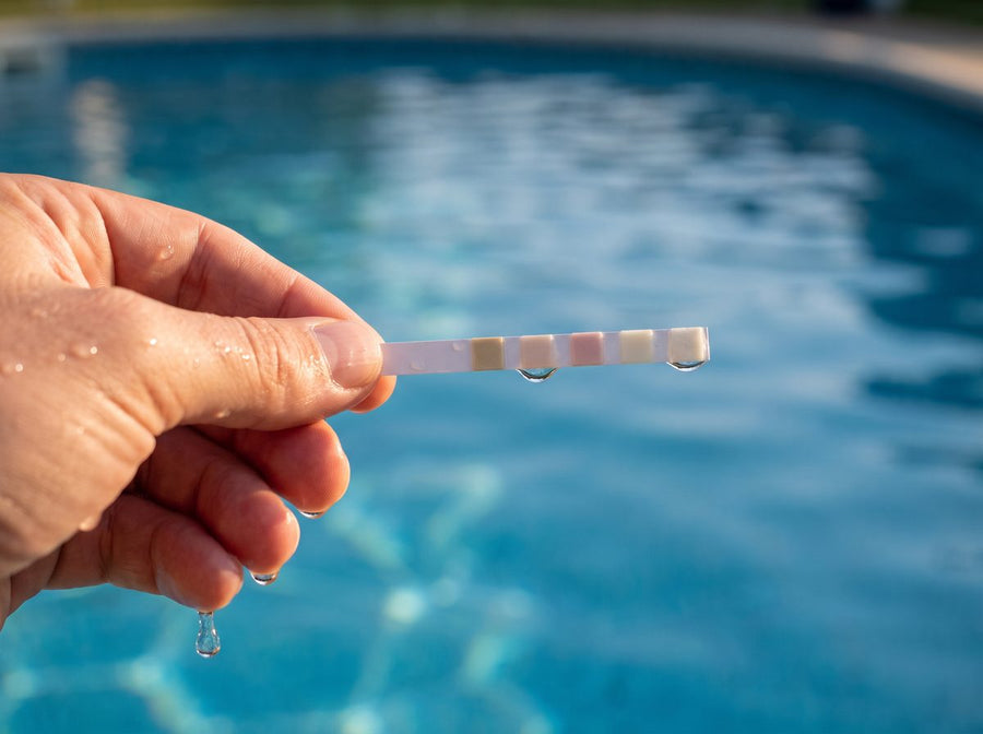 Teststreifen wird aus dem Poolwasser gezogen