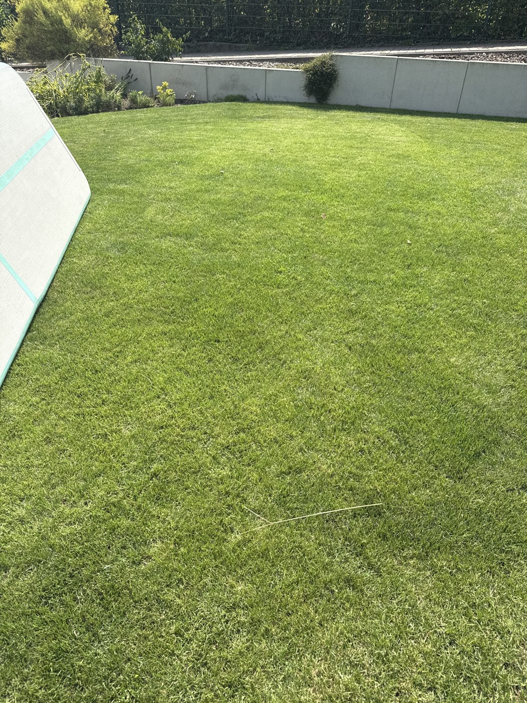 Grüner Rasen von Andreas aus Hofheim am Taunus