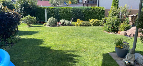 Gepflegter Rasen eines TerraUno-Kunden