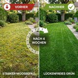 Das geteilte Bild zeigt einen Rasen vor und nach 4 Wochen Terrauno Moosfrei Soforthilfe Set: linke Seite fleckig mit Moos Vorher, rechte Seite saftig und grün Nachher nach der Moosentfernung. Der Text unterstreicht die beeindruckende Veränderung.