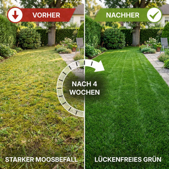 Das geteilte Bild zeigt einen Rasen vor und nach 4 Wochen Terrauno Moosfrei Soforthilfe Set: linke Seite fleckig mit Moos Vorher, rechte Seite saftig und grün Nachher nach der Moosentfernung. Der Text unterstreicht die beeindruckende Veränderung.