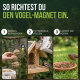 So richtest du den Vogel-Magnet ein: Meisenknödel aufhängen, Futterhaus füllen, Larven am Boden anbieten