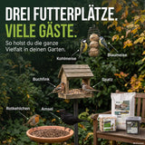 Drei Futterplätze im Garten mit Kohlmeise, Blaumeise, Buchfink, Spatz, Rotkehlchen und Amsel – Vogel-Magnet Futterset