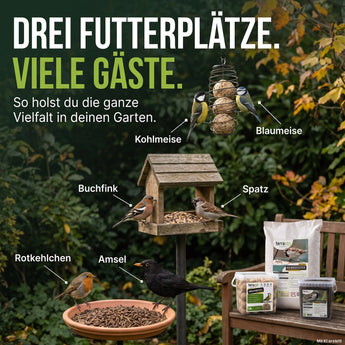 Drei Futterplätze im Garten mit Kohlmeise, Blaumeise, Buchfink, Spatz, Rotkehlchen und Amsel – Vogel-Magnet Futterset