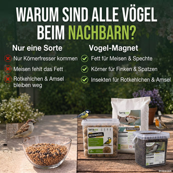 Warum alle Vögel beim Nachbarn sind: nur eine Futtersorte im Vergleich zum Vogel-Magnet mit Fett, Körnern und Insekten
