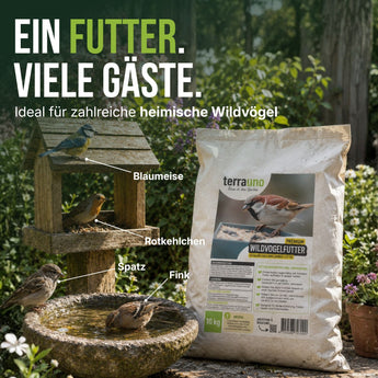 Eine Tüte „TerraUno Premium Wildvogelfutter“ steht neben einem Futterhäuschen und einem Vogelbad in einem üppig grünen Garten und lockt verschiedene Wildvögel wie Blaumeisen, Rotkehlchen, Spatzen und Finken an. Der deutsche Text hebt das hochwertige Ganzjahresfutter für heimische Wildvögel hervor.
