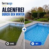Geteilte Aufnahme eines Pools im Hinterhof: Auf der linken Seite ist grünes, mit Algen übersätes Wasser mit der Beschriftung „OHNE“ zu sehen, während auf der rechten Seite klares, blaues Wasser mit der Beschriftung „MIT TerraUno Pool Wintermittel“ zu sehen ist. Im Hintergrund sind ein kleiner Schuppen und Bäume zu erkennen – ein Beleg dafür, wie wirksam die richtige Winterpflege für den Pool Algen vorbeugen kann.