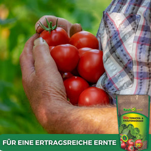BIO - Tomaten- & Kräuterdünger 700g Dünger    TerraUno