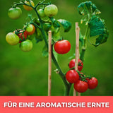 Tomaten- & Gemüseerde 40 Liter Erde    TerraUno