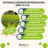 Rasendünger Sommer und Frühling TerraUno