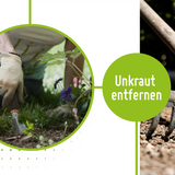 Unkrautvlies - 150 g/m²     TerraUno