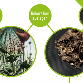 Unkrautvlies - 150 g/m²     TerraUno