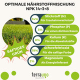Rasendünger Frühjahr / Sommer mit Langzeitwirkung Dünger    TerraUno